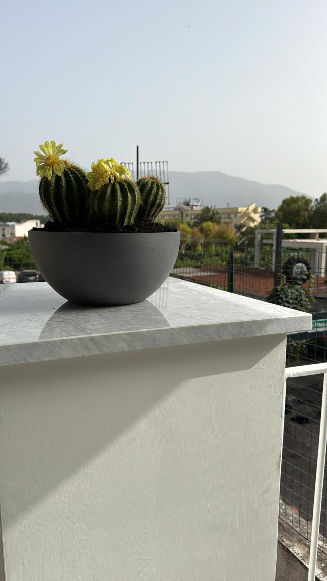 Vesuvius Pompeii Bed & Breakfast Exterior photo